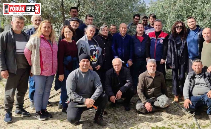 Didim’de zeytin budama kursu kursiyerlerine uygulamalı eğitim