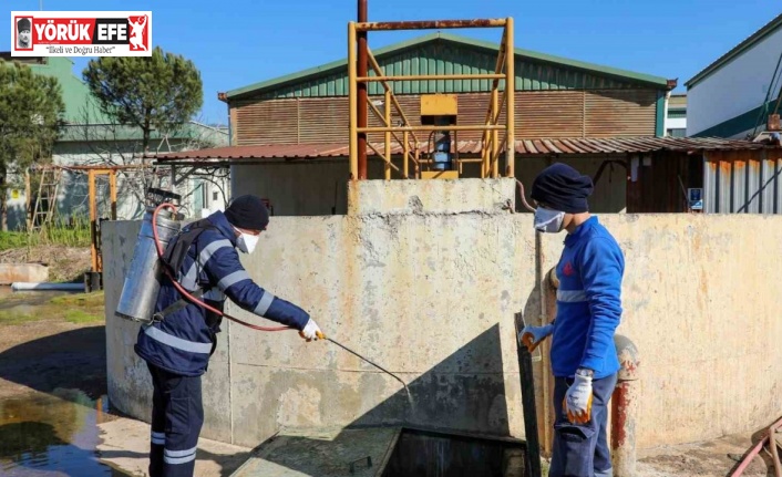 Efeler’de sineklerle mücadele 12 ay boyunca devam ediyor