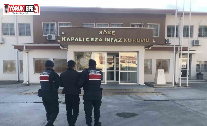 Jandarmadan aranan şahıs operasyonu