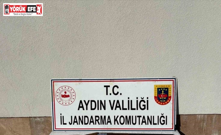 Aydın’da silah kaçakçılığı operasyonu