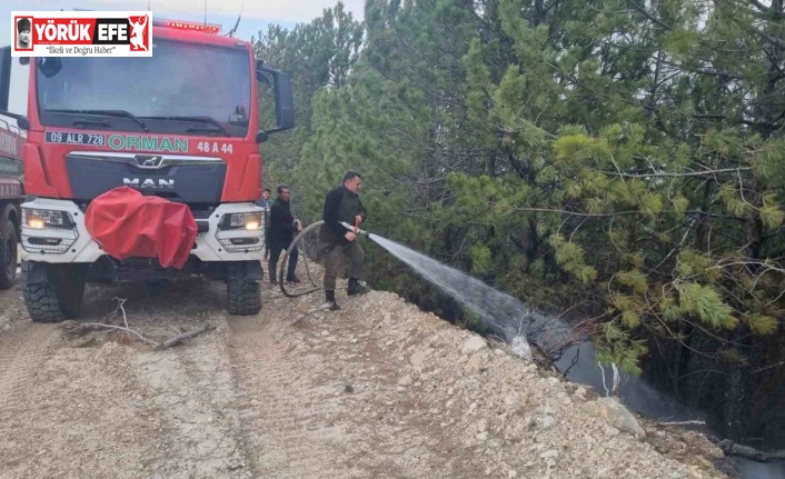 Aydın’daki orman yangını kontrol altına alındı