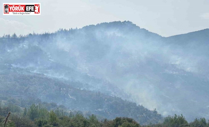 Bozdoğan’daki orman yangını kontrol altına alındı