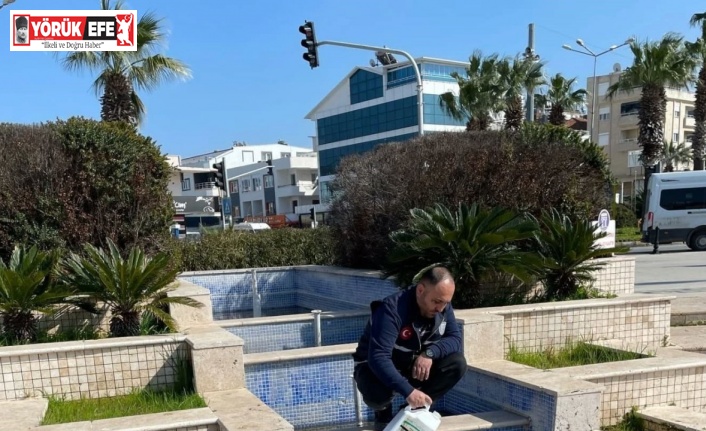 Didim’de süs havuzları bakıma alındı