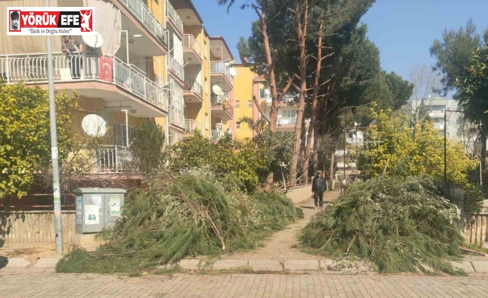 Efeler Belediyesi’nden budama atıkları uyarısı