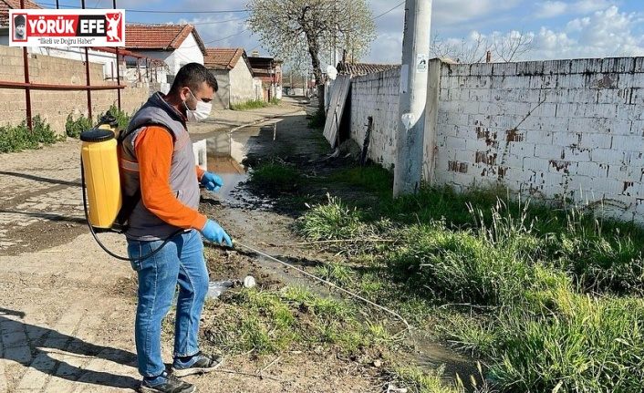 Germencik’te ilaçlama çalışmaları sürüyor