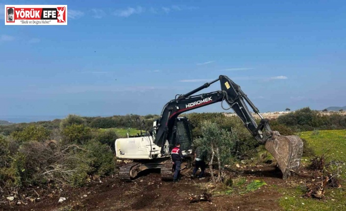 İzinsiz hazine arazisi kazısını jandarma engelledi