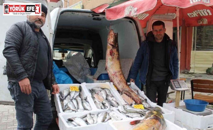 Kuraklık, barajlardaki balık popülasyonu etkiledi