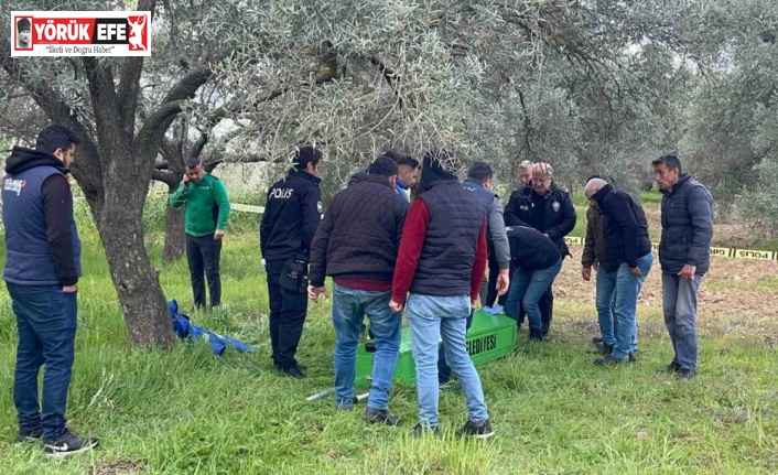 Zeytin bahçesinde cansız bedeni bulundu