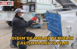 DİDİM’DE MOLOZ TEMİZLİK ÇALIŞMALARI YAPILDI