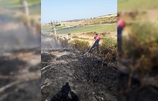 Didim’deki makilik yangını söndürüldü