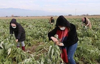 Efeler’in enginarlarına özenli bakım