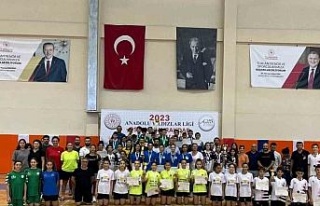 ANALİG Türkiye Badminton şampiyonları belli oldu