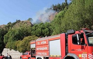 Aytepe mesire alanında yangın