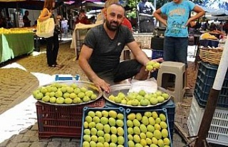 Sezonun ilk incirini pazar tezgahlarında yerini aldı