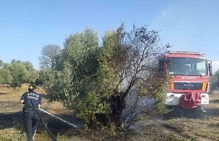 Aydın Büyükşehir İtfaiyesi’nden Umurlu’daki...