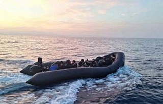 Aydın’da 93 düzensiz göçmen yakalandı