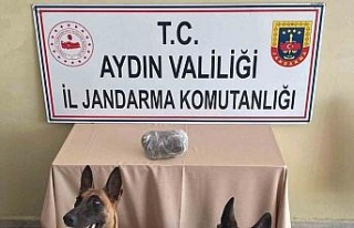 Jandarmanın hassas burunları uyuşturucuya geçit...