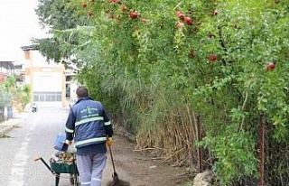 Nazilli’de Belediyesi’nden kış temizliği