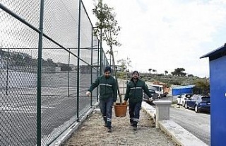 Kuşadası Tenis Kulübü’ne kavuşuyor