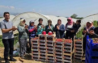 İşçi bayramını meydanda değil, tarlada kutladılar