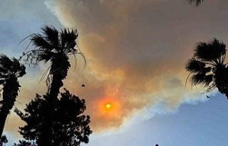 İzmir’deki orman yangını Kuşadası’nı duman...