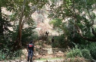 Ormanlık alanda mangal yakan 31 kişi cezadan kaçamadı