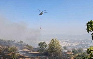 Aydın’da çıkan yangın üniversite kampüs alanına...