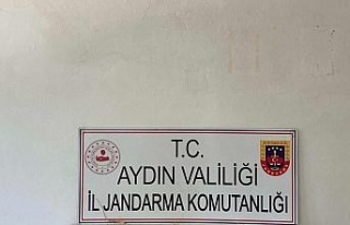 Aydın’da jandarma ekipleri uyuşturucuya geçit...