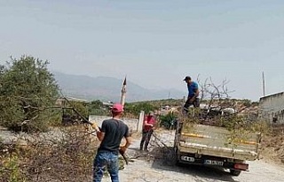 Efeler Belediyesi mezarlıklarda bakım ve temizlik...