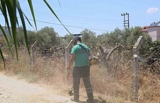 Efeler’in çalışmalarıyla mahalleler daha temiz...