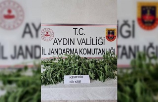 Jandarma uyuşturucuya geçit vermiyor: 5 gözaltı