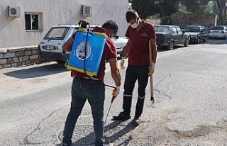 Koçarlı Belediyesi, haşereyle mücadelede 24 saat...