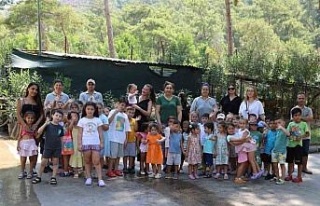 Marmaris Belediyesi Geçici Hayvan Bakımevi minik...