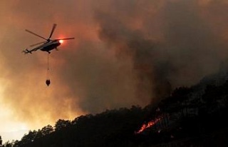 Muğla’da son 9 günde 20 yıldırım yangını...