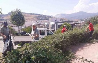 Söke Belediyesi’nden Park ve Bahçelerde yoğun...