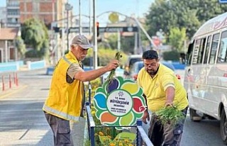 Aydın Büyükşehir Belediyesi’nden çevre bakımı...