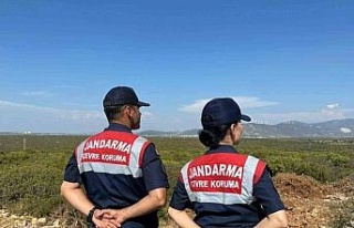 Aydın’da jandarma ekiplerinden Bafa Gölü’ndeki...