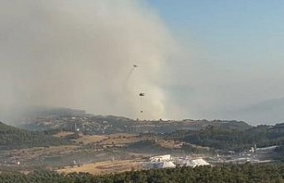 Bozdoğan yangınına 8 helikopter ve 7 uçak havadan...