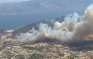 Didim’de makilik alanda yangın