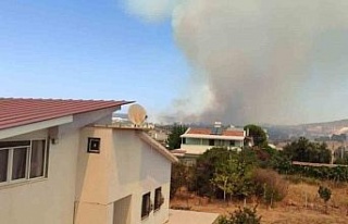 Didim’deki makilik alan yangınını söndürme...