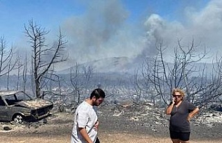 Didim’deki yangında ahır zarar gördü, hayvanlar...