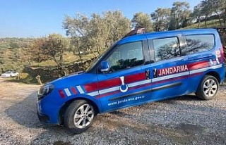 Jandarma incir hırsızlarına göz açtırmıyor:...