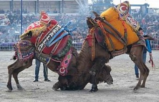 Sezonun ilk güreşi Işıklı’da yapılacak