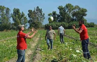 Söke Belediyesi vatandaşa karpuz dağıttı