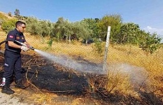 Yangın, itfaiyenin hızlı müdahalesiyle bahçeye...