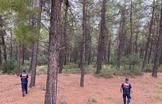 Yasak ormanlık alanlara giren 31 kişi cezadan kaçamadı