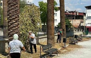 Nazilli Belediyesi’nden yeni eğitim yılı öncesi...