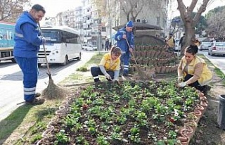 Büyükşehir’in çiçekleri Söke’yi renklendirdi