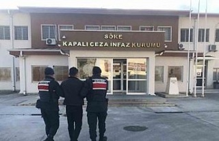 Jandarmadan aranan şahıs operasyonu