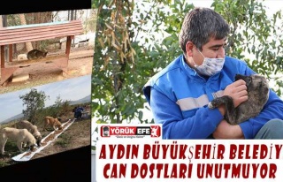 AYDIN BÜYÜKŞEHİR BELEDİYESİ CAN DOSTLARI UNUTMUYOR